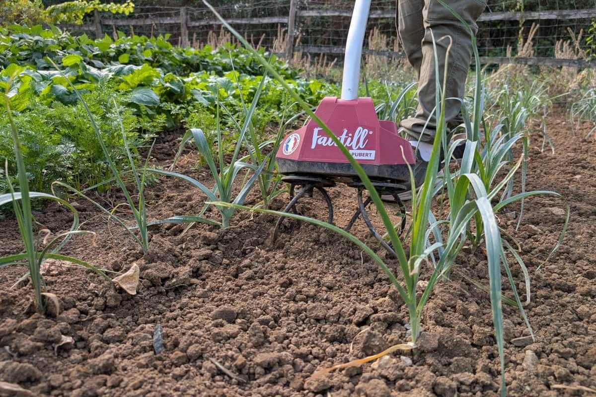 Grelinette bioculture