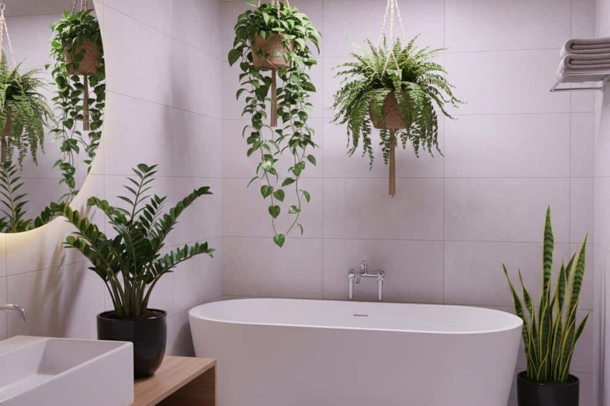Quelle plante d'intérieur choisir pour une salle de bains sans fenêtre ?